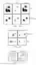 Fig. 06 - Tumor suppressor killin