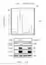 Fig. 07 - Tumor suppressor killin