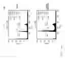 Fig. 10 - Tumor suppressor killin