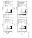 Fig. 12 - Tumor suppressor killin