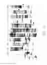Fig. 17 - Tumor suppressor killin