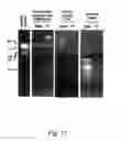Fig. 19 - Assay cartridges and methods of using the same