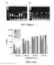 Fig. 23 - Assay cartridges and methods of using the same