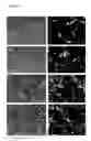 Fig. 05 - Methods of assessing a risk of cancer progression