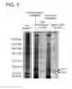 Fig. 08 - Method for isolating weakly interacting molecules from a fluidic sample