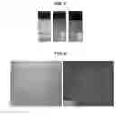 Fig. 07 - HIGHLY FLUORESCENT CARBON NANOPARTICLES AND METHODS OF PREPARING THE SAME