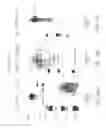 Fig. 37 - Characterization of granulocytic ehrlichia and methods of use