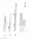 Fig. 47 - Characterization of granulocytic ehrlichia and methods of use