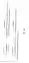Fig. 69 - Characterization of granulocytic ehrlichia and methods of use