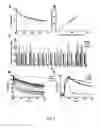 Fig. 06 - Screening of protein candidates