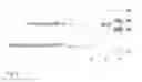 Fig. 02 - Diagnostic kit for IGFBP-4 proteolytic fragments in a patient sample