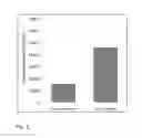 Fig. 04 - Diagnostic kit for IGFBP-4 proteolytic fragments in a patient sample