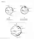 Fig. 02 - Methods and materials for increasing expression of recombinant polypeptides