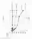 Fig. 09 - Modifications of peptide compositions to increase stability and delivery efficiency