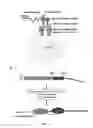 Fig. 09 - Luciferases and methods for making and using the same