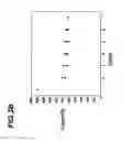 Fig. 05 - Virus scaffold for self-assembled, flexible and light lithium battery