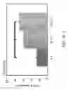 Fig. 09 - Mesenchymal stem cells (MSC) expansion methods and materials