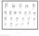 Fig. 13 - Culture medium containing gamma-aminobutyric acid, pipecolic acid or lithium for the maintenance of stem cells in an undifferentiated state