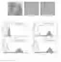 Fig. 16 - Culture medium containing gamma-aminobutyric acid, pipecolic acid or lithium for the maintenance of stem cells in an undifferentiated state