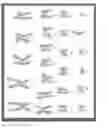 Fig. 19 - Culture medium containing gamma-aminobutyric acid, pipecolic acid or lithium for the maintenance of stem cells in an undifferentiated state