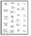 Fig. 20 - Culture medium containing gamma-aminobutyric acid, pipecolic acid or lithium for the maintenance of stem cells in an undifferentiated state