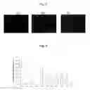 Fig. 10 - Polymer matrices for cell culture