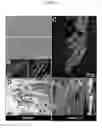 Fig. 07 - Treating cardiovascular tissue