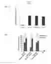 Fig. 07 - Simplified basic media for human pluripotent cell culture