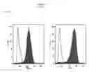 Fig. 10 - Simplified basic media for human pluripotent cell culture