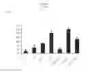 Fig. 14 - Simplified basic media for human pluripotent cell culture
