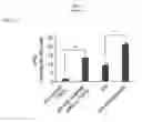 Fig. 17 - Simplified basic media for human pluripotent cell culture