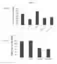 Fig. 18 - Simplified basic media for human pluripotent cell culture