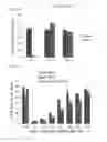 Fig. 19 - Simplified basic media for human pluripotent cell culture