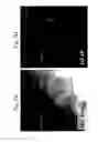 Fig. 07 - Methods for transfecting nucleic acid into live cells