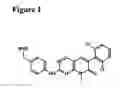Fig. 02 - METHODS FOR THE IDENTIFICATION OF ZAP-70 INTERACTING MOLECULES AND FOR THE PURIFICATION OF ZAP-70