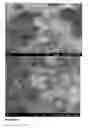 Fig. 05 - Lanthanide mass dots: nanoparticle isotope tags