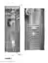 Fig. 06 - Lanthanide mass dots: nanoparticle isotope tags