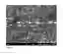 Fig. 08 - Lanthanide mass dots: nanoparticle isotope tags
