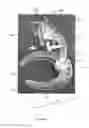 Fig. 05 - Stand for a Figure