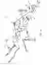 Fig. 04 - Game carcass retrieval and processing systems