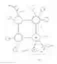 Fig. 06 - Propagation of changes in a network