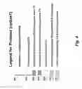 Fig. 08 - Method for Selecting Antennas in a Wireless Networks