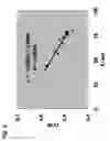 Fig. 08 - BASEBALL OR SOFTBALL BAT WITH MODIFIED RESTITUTION CHARACTERISTICS