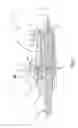 Fig. 04 - Mechanical broadhead