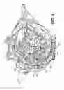 Fig. 08 - Driving pulley for a continuously variable transmission