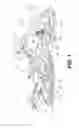 Fig. 02 - Vehicle powertrain having a hydraulic continuously variable transmission