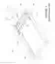 Fig. 02 - Pilates reformer exercise machine