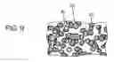 Fig. 07 - GLASS PASTE FOR PLASMA DISPLAY PANEL AND PLASMA DISPLAY PANEL