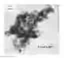 Fig. 01 - Catalyst having metal in reduced quantity and reduced cluster size