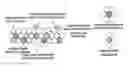 Fig. 01 - Photocatalyst, Method Of Preparing The Same, Decomposer For Organic Compound Using Photocatalyst, And Device For Organic Waste Disposal Using Photocatalyst